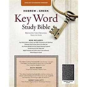 Hebrew-Greek Key Word Study Bible-ESV: Key Insights Into God's Word