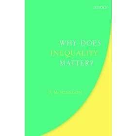 Why Does Inequality Matter?