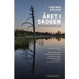 Året i skogen