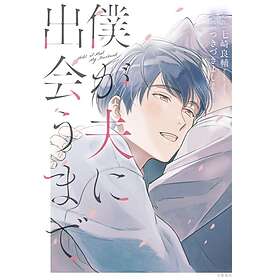 Until I Meet My Husband (Manga)
