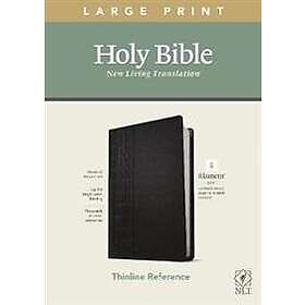 NLT Large Print Thinline Reference Bible, Filament Edition