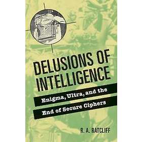 Delusions of Intelligence