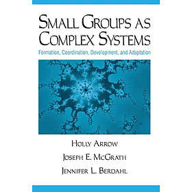 Small Groups as Complex Systems
