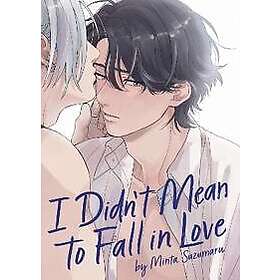 I Didn't Mean to Fall in Love