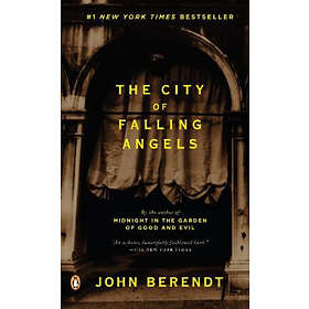 The City of Falling Angels