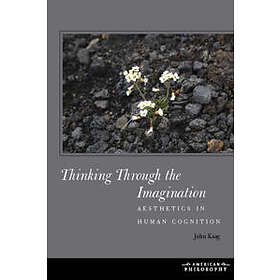 Thinking Through the Imagination