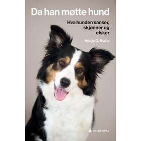 Da han møtte hund