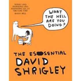 What The Hell Are You Doing?: The Essential David Shrigley
