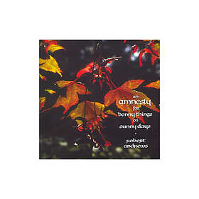Robert Andrews An Amnesty For Bonny Things On Sunny Days CD