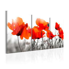 Arkiio Tavla Charming Poppies 120x60