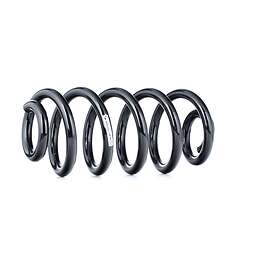 Sachs 994 405 Coil Spring