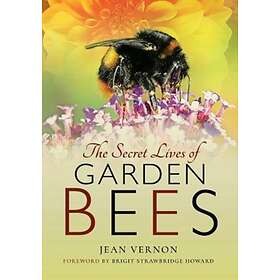 Jean Vernon: The Secret Lives of Garden Bees