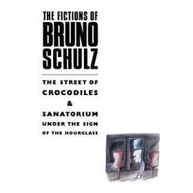 Bruno Schulz: The Fictions of Bruno Schulz: Street Crocodiles &; Sanatorium Unde