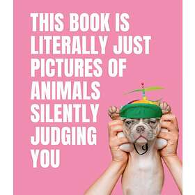 Smith Street Books: This Book is Literally Just Pictures of Animals Silently Judging You