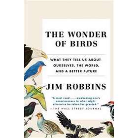 Jim Robbins: Wonder Of Birds