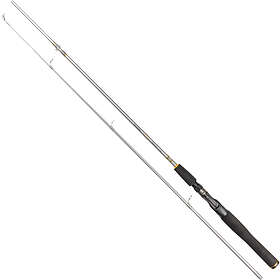 Daiwa Silvercast 6' 2-delt 10-30g