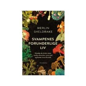 Svampenes forunderlige liv