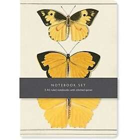 Bodleian Library: Butterfly Notebook Set: 3 A5 Ruled Notebooks with Stitched Spi