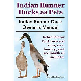 Roland Ruthersdale: Indian Runner Ducks as Pets. Duck pros and cons, care, housi