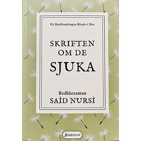 Said Nursi: Skriftsamlingen Risale-i Nur
