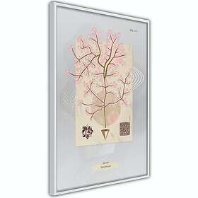 Artgeist Poster Affisch Mysterious Tree A3-POprp0600l_brA