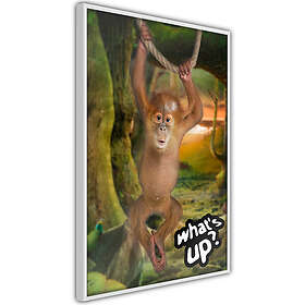 Artgeist Poster Affisch What's Up? A3-POprp1373l_brA