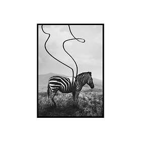 Gallerix Poster Abstract Zebra 3641-21x30