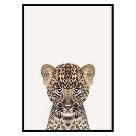 Gallerix Poster Baby Leopard 3172-50x70
