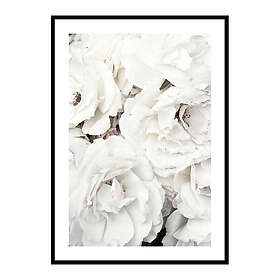 Gallerix Poster Bouquet Of White Peonies 3994-50x70