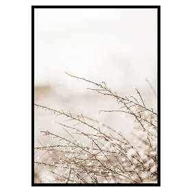 Gallerix Poster Branches 2803-50x70