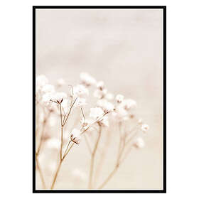 Gallerix Poster Bright Flowers 2867-50x70