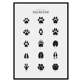 Gallerix Poster Djurspår 2698-30x40