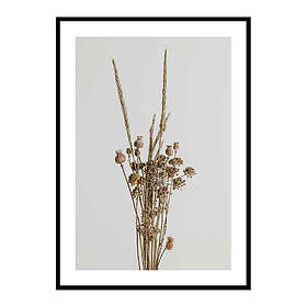Gallerix Poster Dried Bouquet No1 3709-21x30G