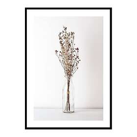 Gallerix Poster Dried Bouquet No4 No2 4225-70x100
