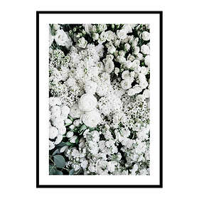 Gallerix Poster Flower Bed 4044-50x70