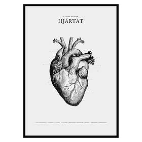 Gallerix Poster Hjärtat 2704-30x40