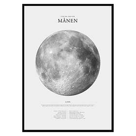 Gallerix Poster Månen 2728-21x30
