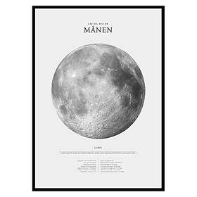 Gallerix Poster Månen 2728-30x40