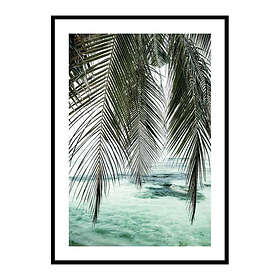 Gallerix Poster Palm Curtain 3871-70x100