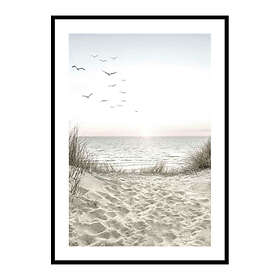 Gallerix Poster Seagulls Sandy Beach 3856-50x70
