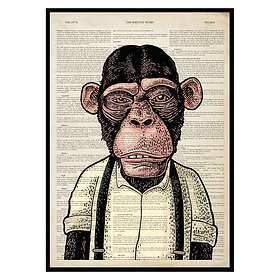 Gallerix Poster The Chimpanzee 2841-50x70