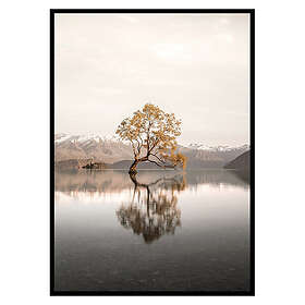 Gallerix Poster The Lonely Tree 3477-21x30G