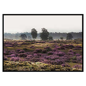 Gallerix Poster Veluwe Meadow 2963-30x40