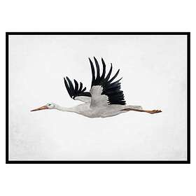 Gallerix Poster Watercolor Stork 3182-30x40