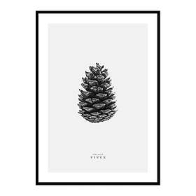 Gallerix Poster Winter Botany No2 4333-50x70
