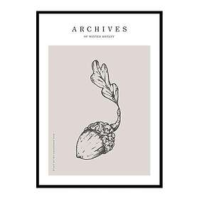 Gallerix Poster Winter Botany No1 4334-50x70