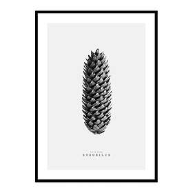 Gallerix Poster Winter Botany No3 4332-70x100