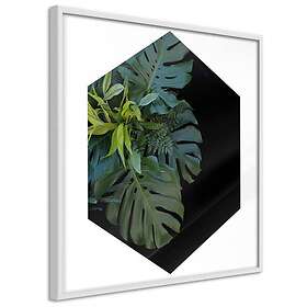 Artgeist Poster Affisch Plant Hexagon A3-POSTERprp0007_brA