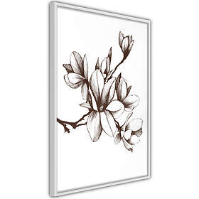 Artgeist Poster Affisch Renaissance Magnolias A3-POprp1027l_brA