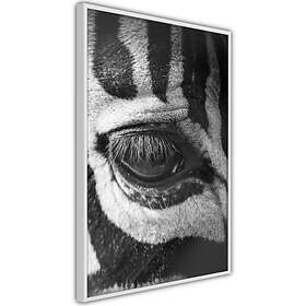 Artgeist Poster Affisch Zebra Eye A3-POprp0397l_brA